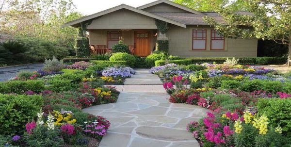 Scegliere i fiori per una residenza estiva in modo che fioriscano per tutta la stagione è un'arte