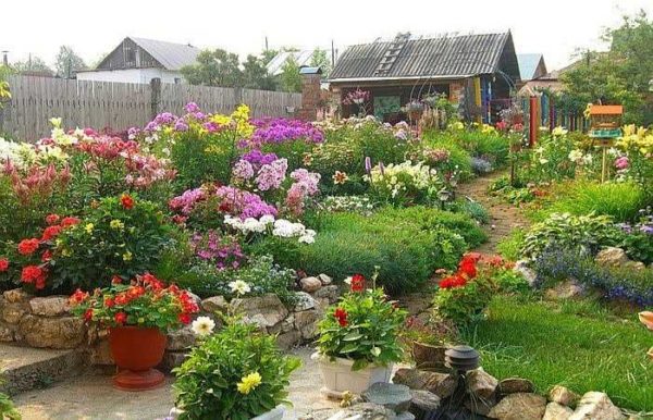 El verano es la época en que el país está lleno de flores.