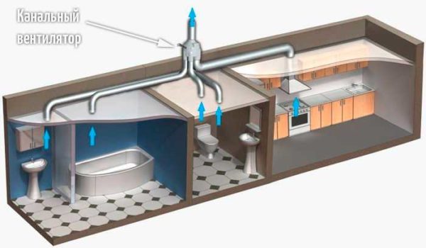 È così che puoi organizzare la ventilazione di scarico in una casa o in un appartamento. Tieni solo in considerazione che l'intero volume d'aria richiesto deve essere estratto