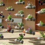 Muro de flores: cuélguelo del marco y espere hasta que haya más vegetación