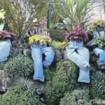 ¿No estás seguro de dónde poner tus pantalones viejos? ¡A su jardín!