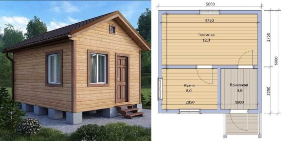 Enetasjes landsted 5 * 5 meter: prosjekt med layout