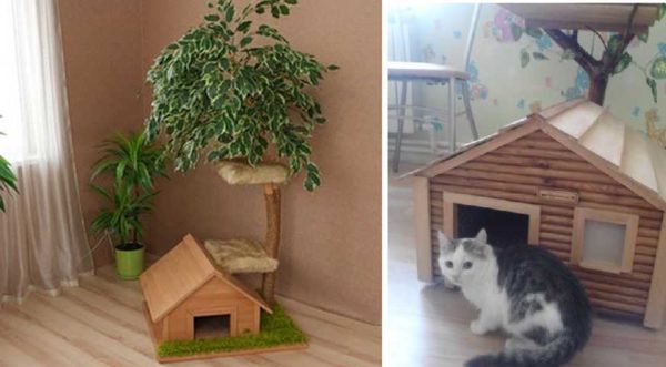 Para un gato con gatitos, una casa en el suelo es adecuada.