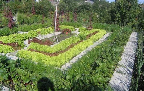 Un jardín inteligente también es una decoración del sitio.