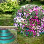 Non intendevi come realizzare un'aiuola a più livelli o un'aiuola? Dal nastro di plastica da giardino realizziamo anelli di diversi diametri, riempiendoli di terra, li pieghiamo uno sopra l'altro