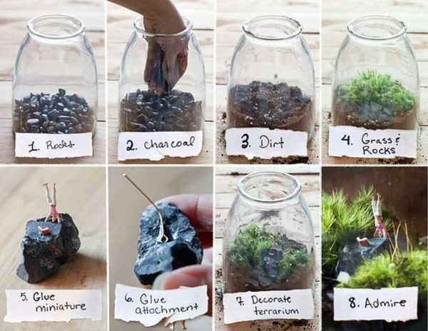 Una de las opciones para plantar plantas en el florarium.