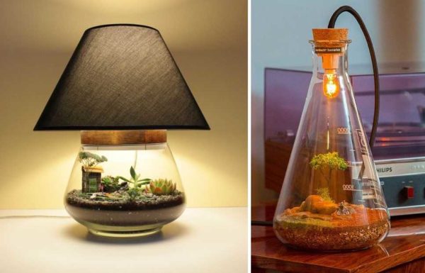 Å lage en lampe fra et florarium - to problemer løses umiddelbart: belysning og belysning av planter