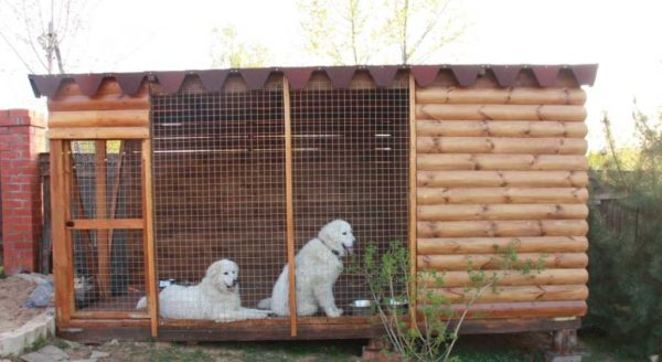 Las paredes del recinto para perros pueden estar hechas de madera de imitación. Pero la parte que mira hacia adentro también debe procesarse (otfugovat)