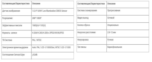 Esempio di caratteristiche della telecamera IP