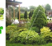 The Golden Ratio: The Triangle Rule in Garden Design