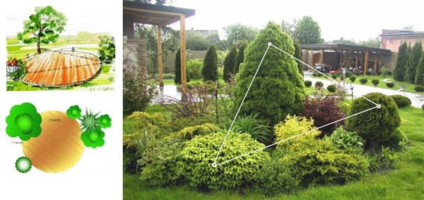 La sezione aurea: la regola del triangolo nel design del giardino