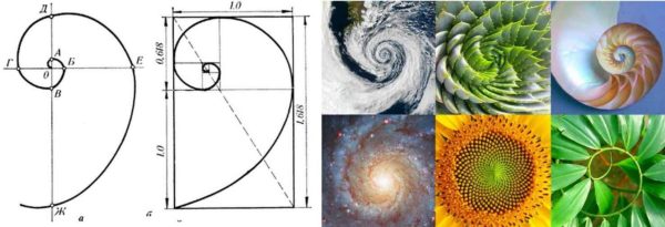 Fibonacci-sekvensen er ikke bare en matematisk formel