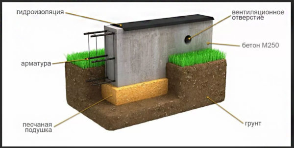 dispositivo de base de tira