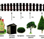 distanza dagli alberi al recinto