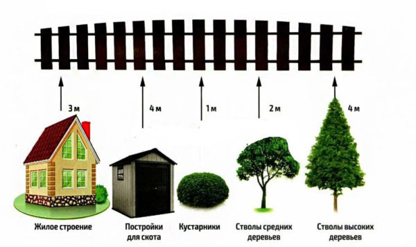 distanza dagli alberi al recinto